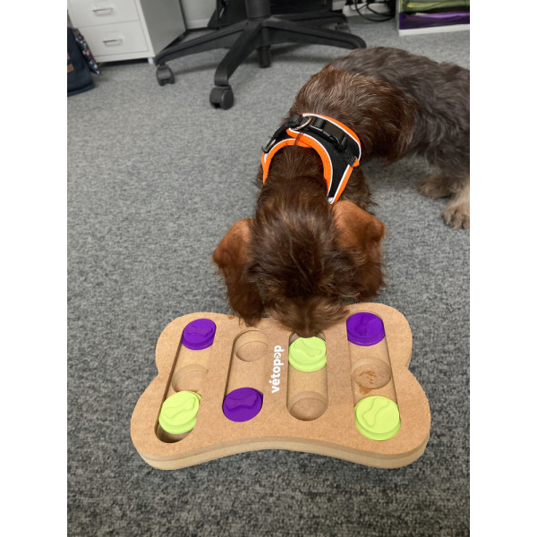 Interactive Puzzle Tray for Dogs & Cats – Round or Fun Shapes